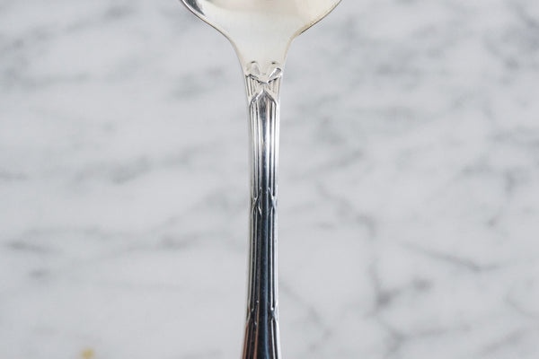 Ribbon Silver Plated Coffee Spoon (Set of 6)