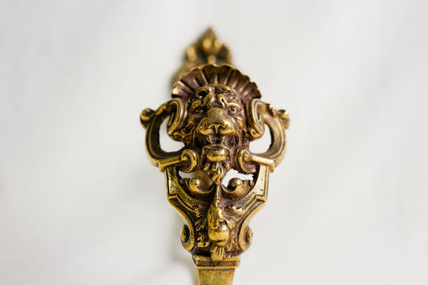 Brass Lion Hook