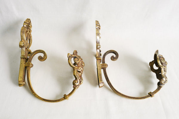 Brass Lion Hook