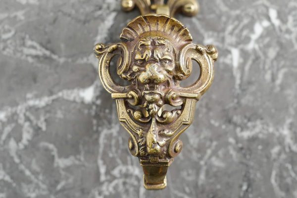 Brass Lion Hook