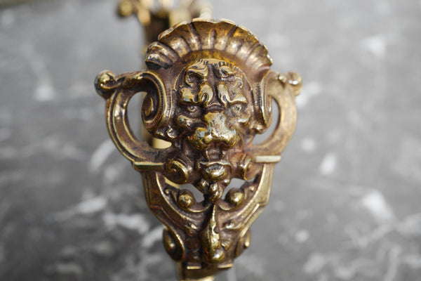 Brass Lion Hook
