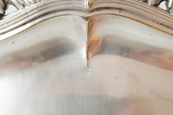 Silver Plated Crumb Tray & Brush