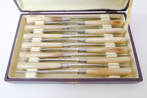Horn Table Knives Set