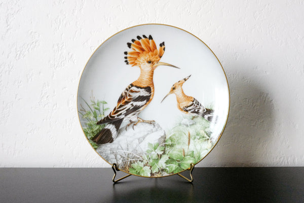 'The Wild Birds of the World' Plate