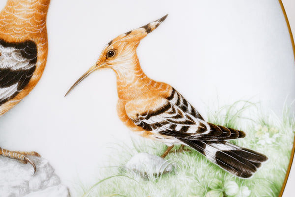 'The Wild Birds of the World' Plate