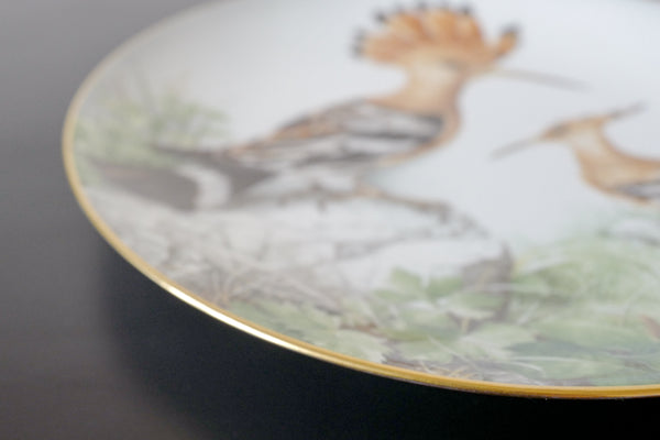 'The Wild Birds of the World' Plate