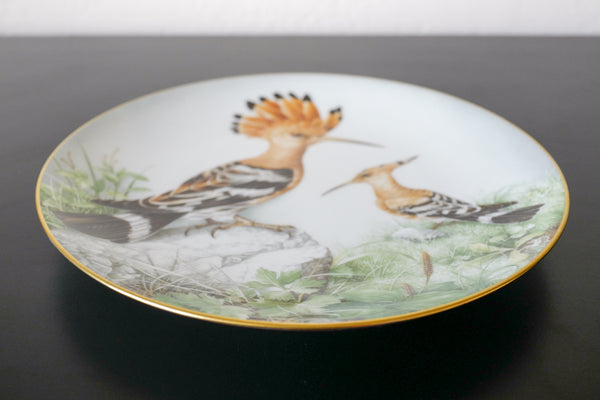 'The Wild Birds of the World' Plate