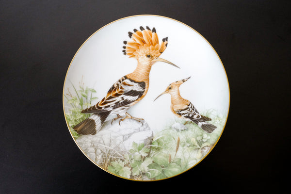 'The Wild Birds of the World' Plate