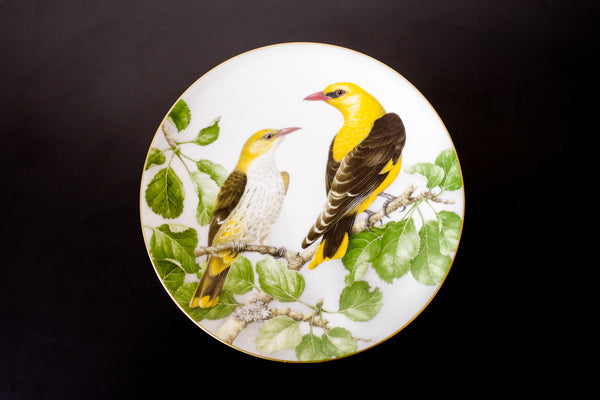 'The Wild Birds of the World' Plate