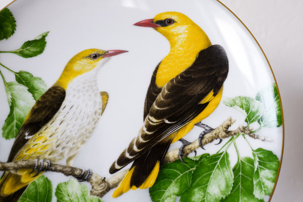 'The Wild Birds of the World' Plate