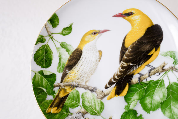 'The Wild Birds of the World' Plate