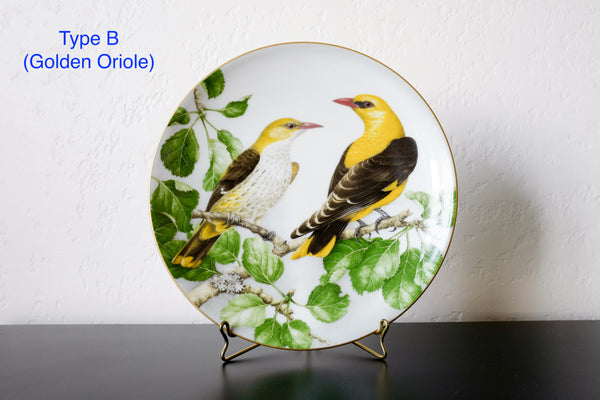 'The Wild Birds of the World' Plate