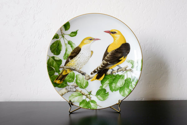 'The Wild Birds of the World' Plate