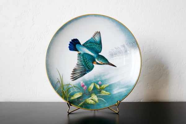 'The Wild Birds of the World' Plate