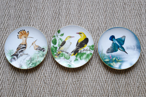 'The Wild Birds of the World' Plate