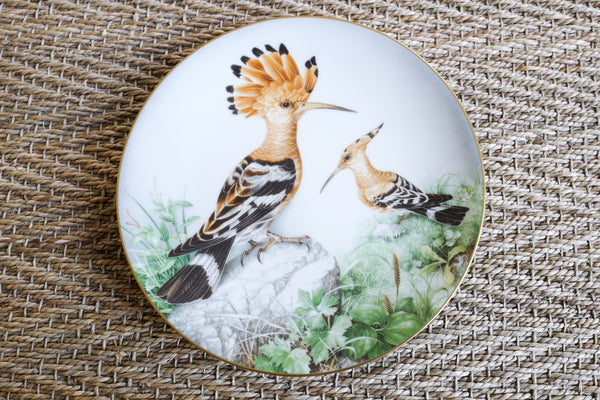 'The Wild Birds of the World' Plate