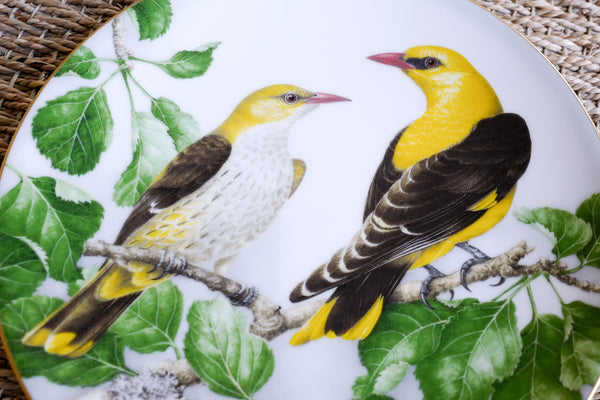 'The Wild Birds of the World' Plate