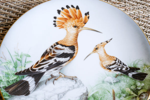 'The Wild Birds of the World' Plate