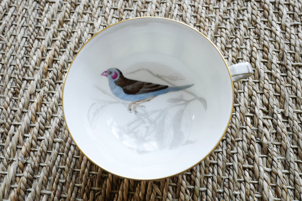 'Les oiseaux de Buffon' Tea Cup & Saucer Set
