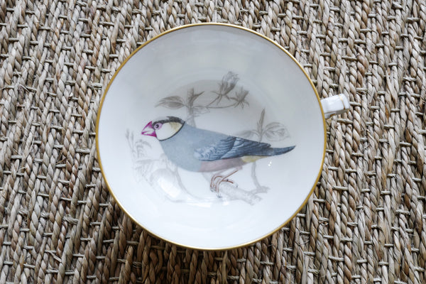 'Les oiseaux de Buffon' Tea Cup & Saucer Set