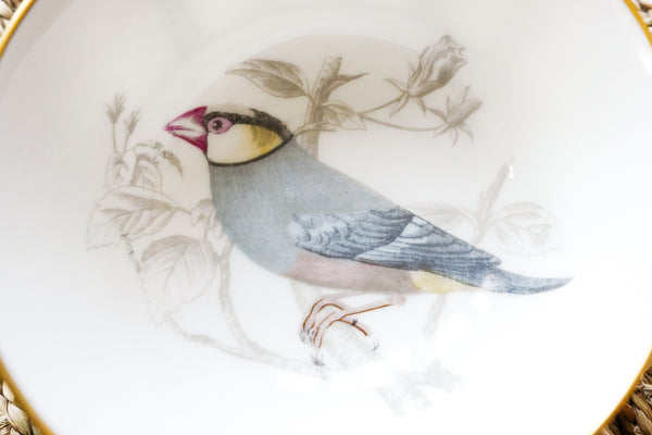 'Les oiseaux de Buffon' Tea Cup & Saucer Set
