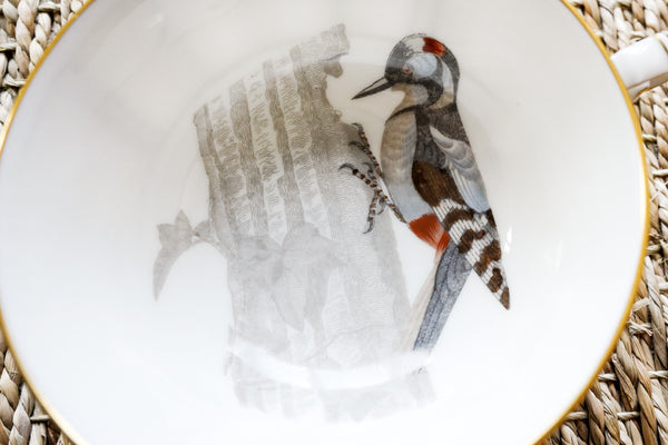 'Les oiseaux de Buffon' Tea Cup & Saucer Set