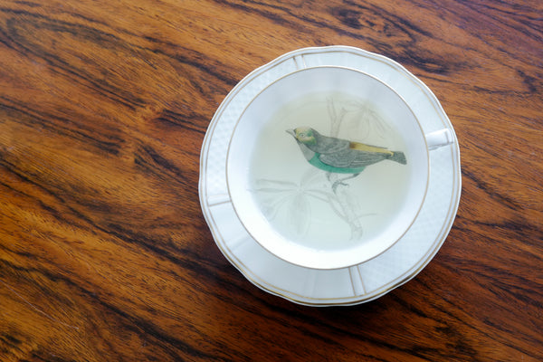 'Les oiseaux de Buffon' Tea Cup & Saucer Set