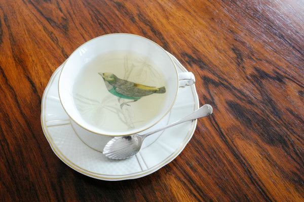 'Les oiseaux de Buffon' Tea Cup & Saucer Set