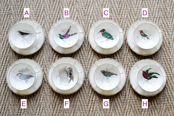 'Les oiseaux de Buffon' Tea Cup & Saucer Set