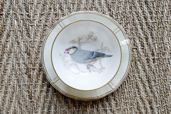 'Les oiseaux de Buffon' Tea Cup & Saucer Set