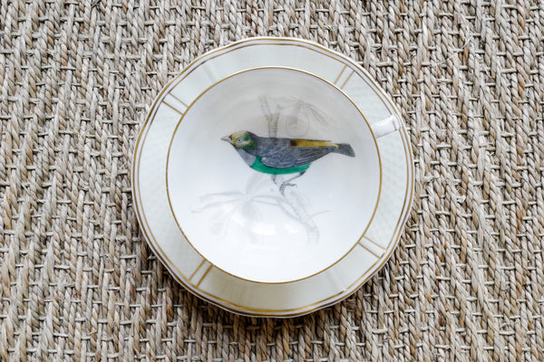 'Les oiseaux de Buffon' Tea Cup & Saucer Set