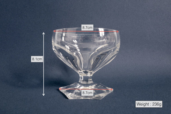 Classic Champagne Coupe