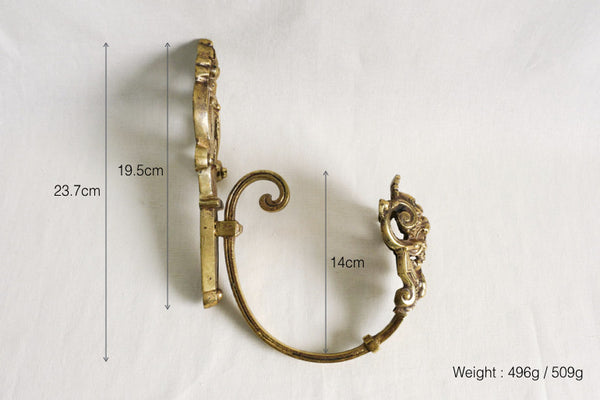 Brass Lion Hook