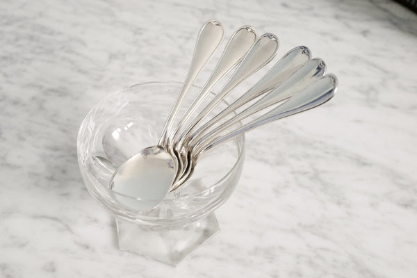 Silver Plated Ice Cream Spoon (Set of 6)