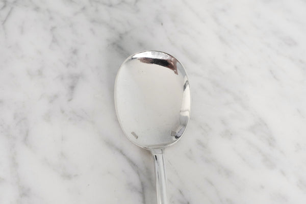 Silver Plated Ice Cream Spoon (Set of 6)