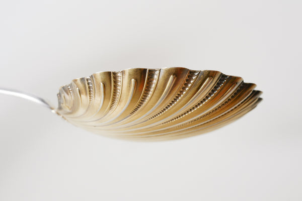 Gold Plated Sterling Silver Shell Server
