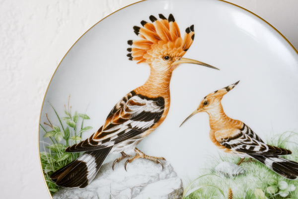 'The Wild Birds of the World' Plate