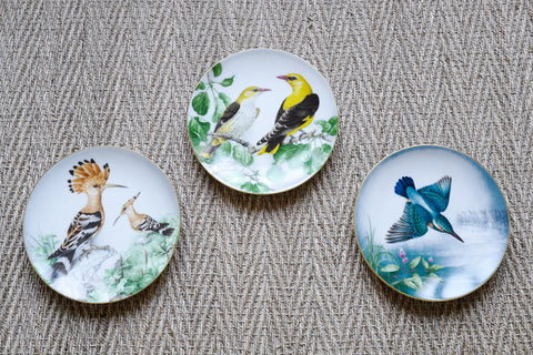 'The Wild Birds of the World' Plate