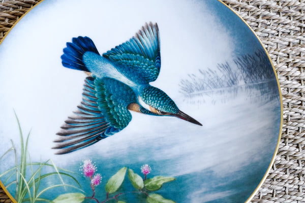 'The Wild Birds of the World' Plate