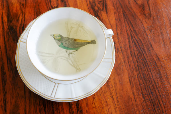 'Les oiseaux de Buffon' Tea Cup & Saucer Set