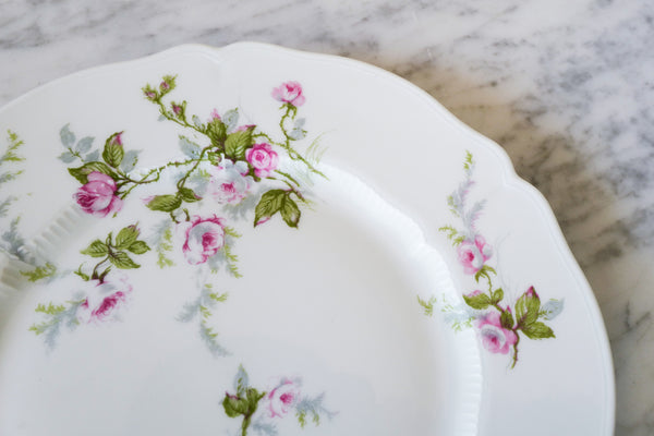 Rose Salad / Dessert Plate