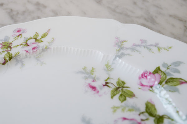 Rose Salad / Dessert Plate