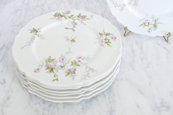 Rose Salad / Dessert Plate
